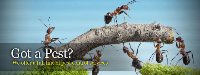 Bradenton Termite and Pest Control