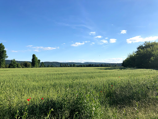 Přírodní park Radotínsko-Chuchelský háj