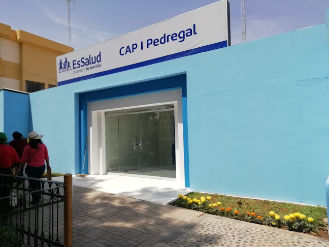 Opiniones de SEGURO SOCIAL DE SALUD - CAP PEDREGAL en Majes - Agencia de seguros