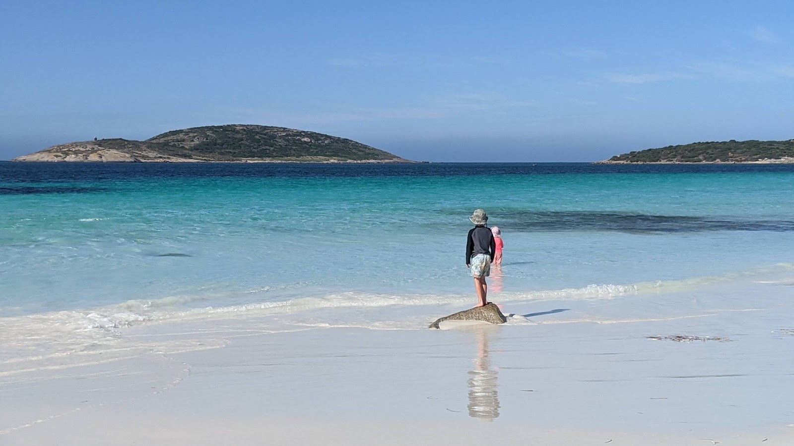 Foto de Alexander Bay Beach área selvagem