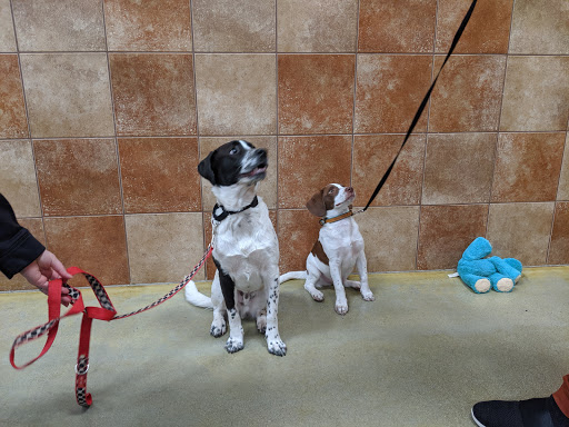 Pet Supply Store «PetSmart», reviews and photos, 160 Washington St #701, Rochester, NH 03839, USA