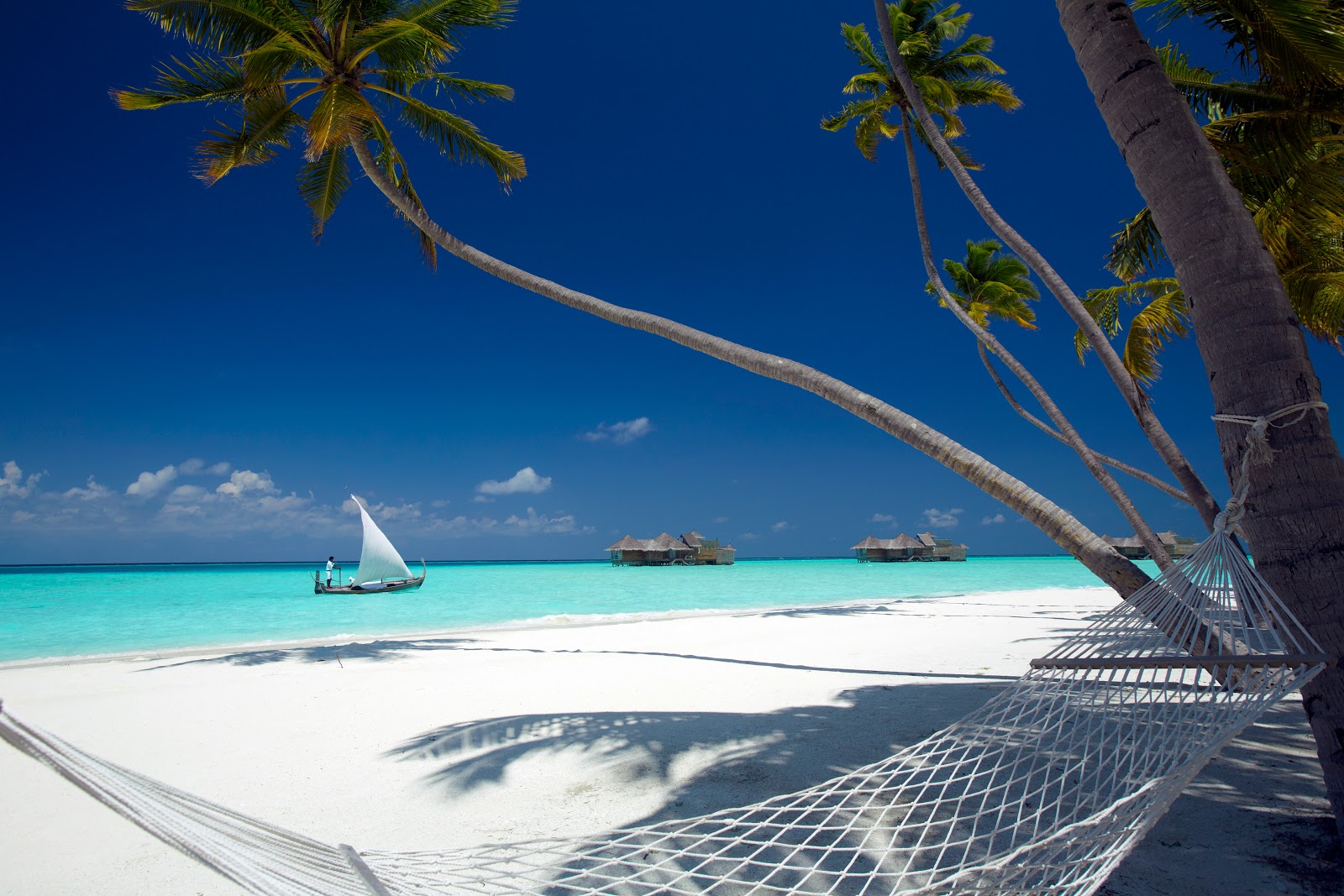 Foto av Gili Lankanfushi Resort med vit fin sand yta