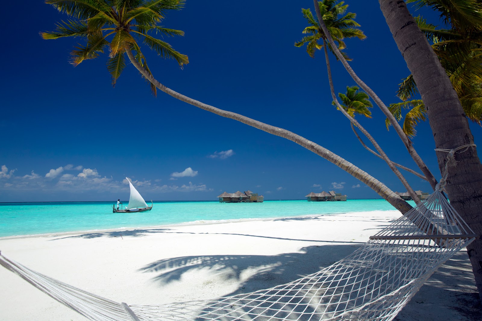 Foto di Gili Lankanfushi Resort con una superficie del sabbia bianca fine