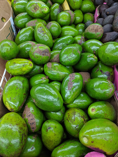 Supermarket «Presidente Supermarket», reviews and photos, 1895 SW 8th St, Miami, FL 33135, USA