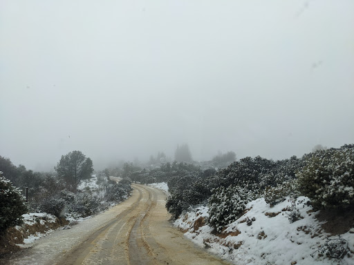 Uvas Canyon County Park image