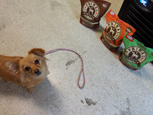 Pet Supply Store «Pet Club W. Tucson», reviews and photos, 5068 N Oracle Rd, Tucson, AZ 85704, USA