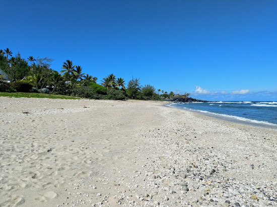 Egrets Beach
