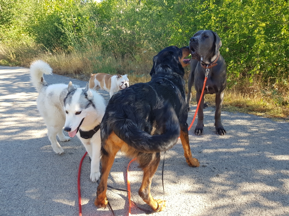 Photo n° 1 de l'avis de Teddy.e fait le 22/07/2019 à 15:30
