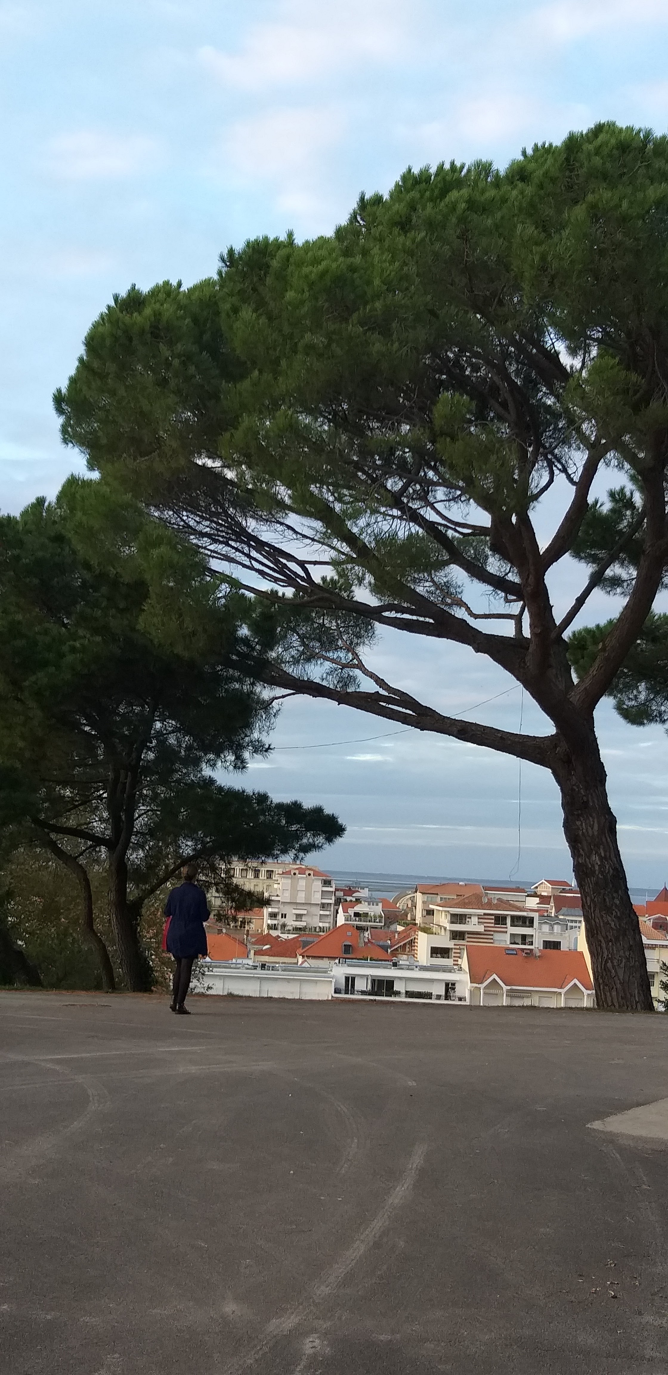 Photo n° 4 de l'avis de Muriel.e fait le 07/10/2019 à 21:05
