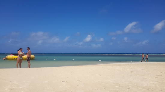Tropical Bliss