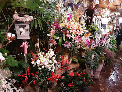 Isabelle fleurs à Aire-sur-l'Adour