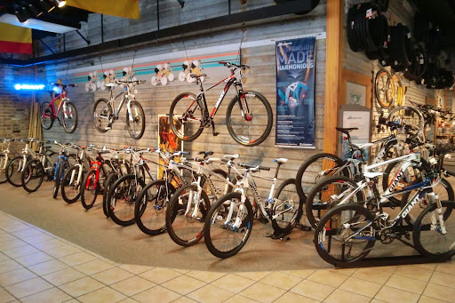 Bicycle Store «Cadence 120 Bicycle Works Inc», reviews and photos, 5558 Old Shell Rd, Mobile, AL 36608, USA