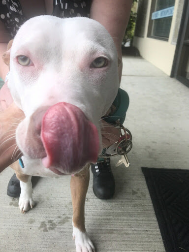 Pet Supply Store «Mud Bay», reviews and photos, 3804 Bridgeport Way W, University Place, WA 98466, USA