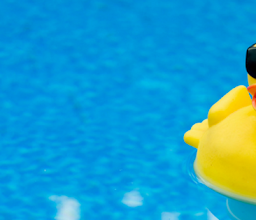 Jardin Acuatico local de eventos photo