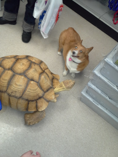 Office Supply Store «OfficeMax», reviews and photos, 4080 William Penn Hwy #49, Monroeville, PA 15146, USA