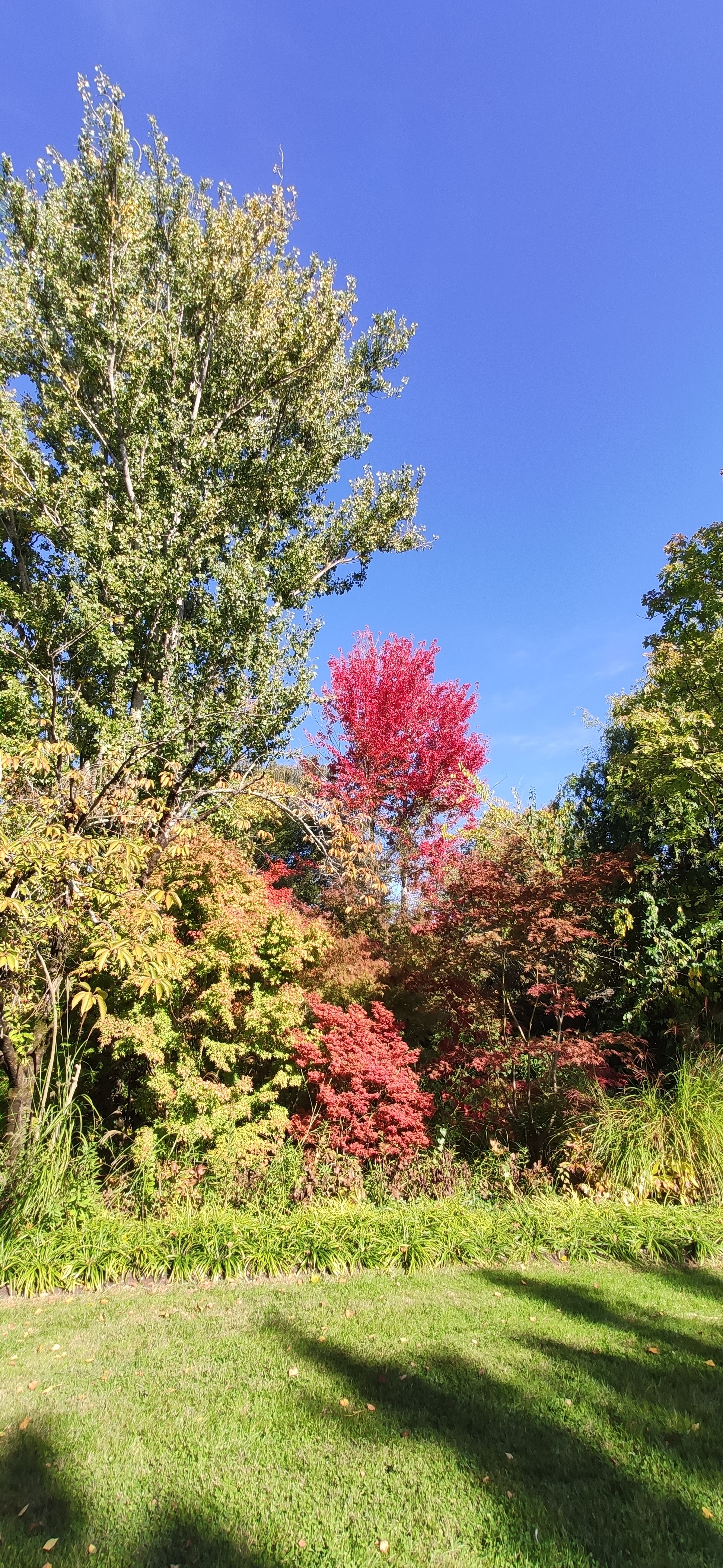 Photo n° 1 de l'avis de Thomas.r fait le 18/10/2021 à 17:45