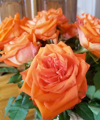 Petites Étincelles - Soins par les roses à Saint-Pierre-Eynac