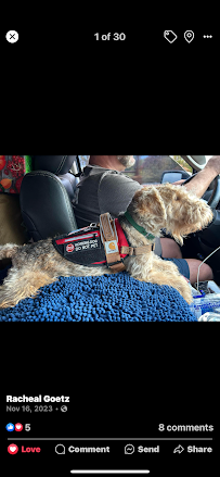 Beyond Pest Service - Photo 7 - Car repair in , Greenville