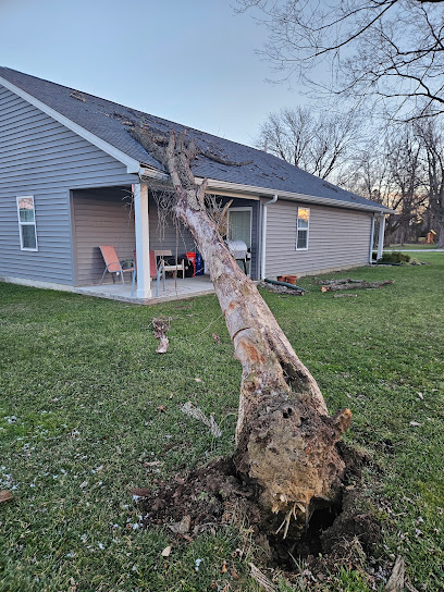 Bodhi Tree, LLC