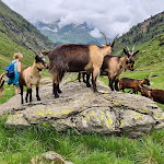 Photo n°8 de l'avis de Klaus.r fait le 04/07/2021 à 13:01 sur le  Faltmar Alm à Moos in Passeier