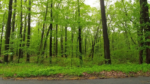 State Park «Monmouth Battlefield State Park», reviews and photos, 16 Business Route 33, Manalapan Township, NJ 07726, USA