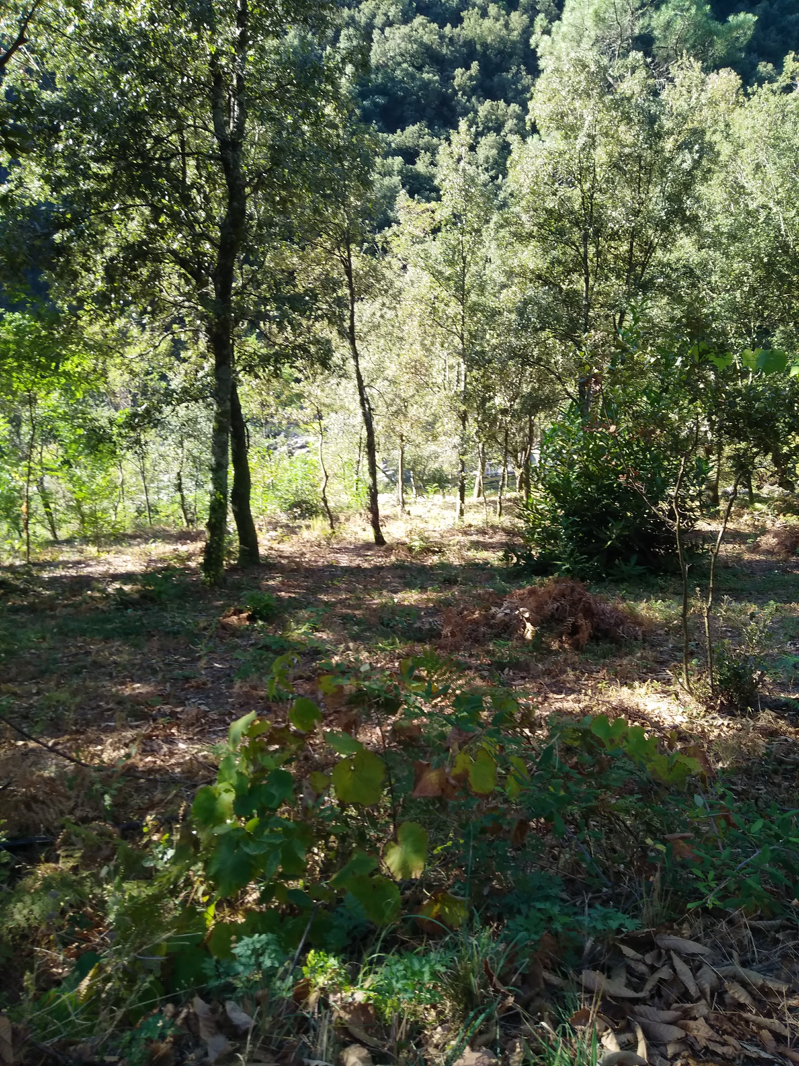 Photo n° 5 de l'avis de Véronique.a fait le 01/04/2019 à 15:52