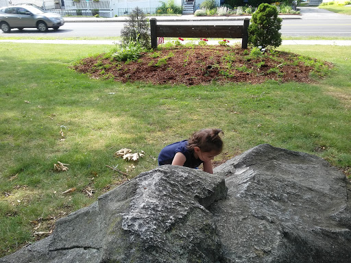 Park «Tyler Park», reviews and photos, 51 Tyler Park, Lowell, MA 01851, USA