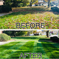 Terranova Quality Landscaping - Photo 8 - Car repair in Cranston, RI, Providence
