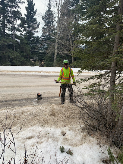 Cowboy Trail Tree Service