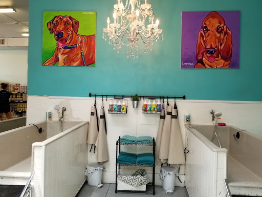 Pet Supply Store «Health Mutt», reviews and photos, 6116 N Central Ave, Tampa, FL 33604, USA