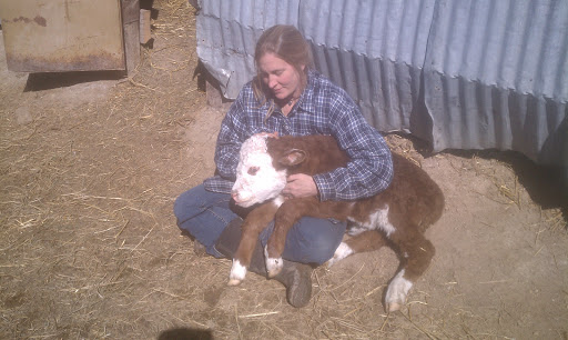 Ten Sleep Veterinary Services image