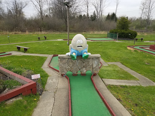 Amusement Center «Rinky Dink Family Fun Center», reviews and photos, 2390 Medina Rd, Medina, OH 44256, USA