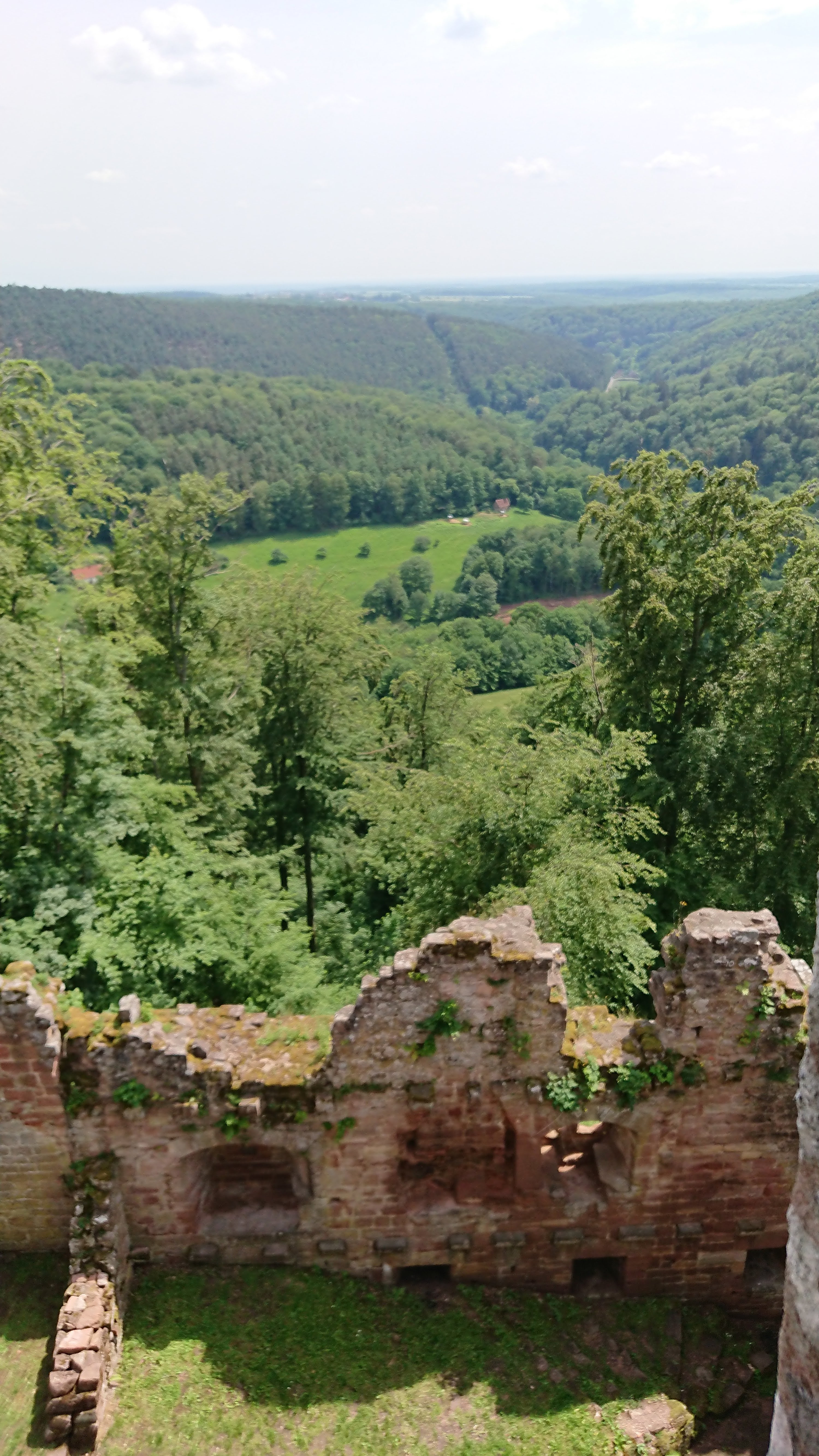 Photo n° 3 de l'avis de M..e fait le 28/05/2018 à 18:29