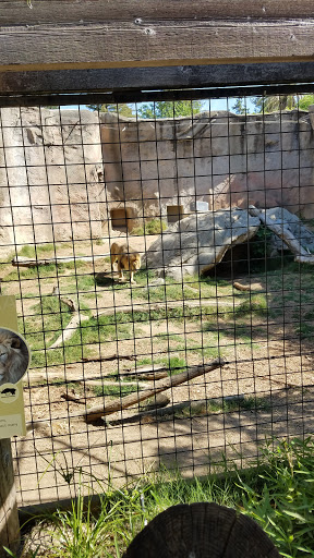 Zoo «Sacramento Zoo», reviews and photos, 3930 W Land Park Dr, Sacramento, CA 95822, USA