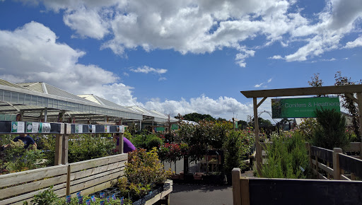 Henry Street Garden Centre