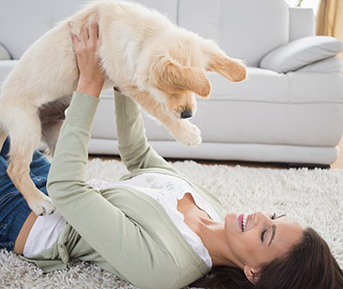 Carpet Cleaning Service «Chem-Dry by the Millers», reviews and photos, 13 E Church St, Reamstown, PA 17567, USA