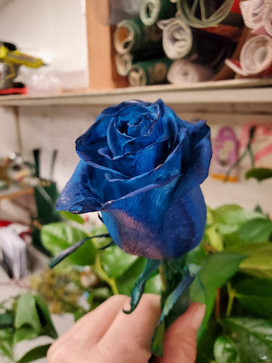 Florist «McClure-Parkhurst Florist», reviews and photos, 25815 W 10 Mile Rd, Southfield, MI 48033, USA