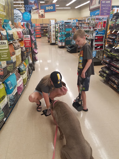 Pet Supply Store «Petco Animal Supplies», reviews and photos, 993 Branson Hills Pkwy, Branson, MO 65616, USA