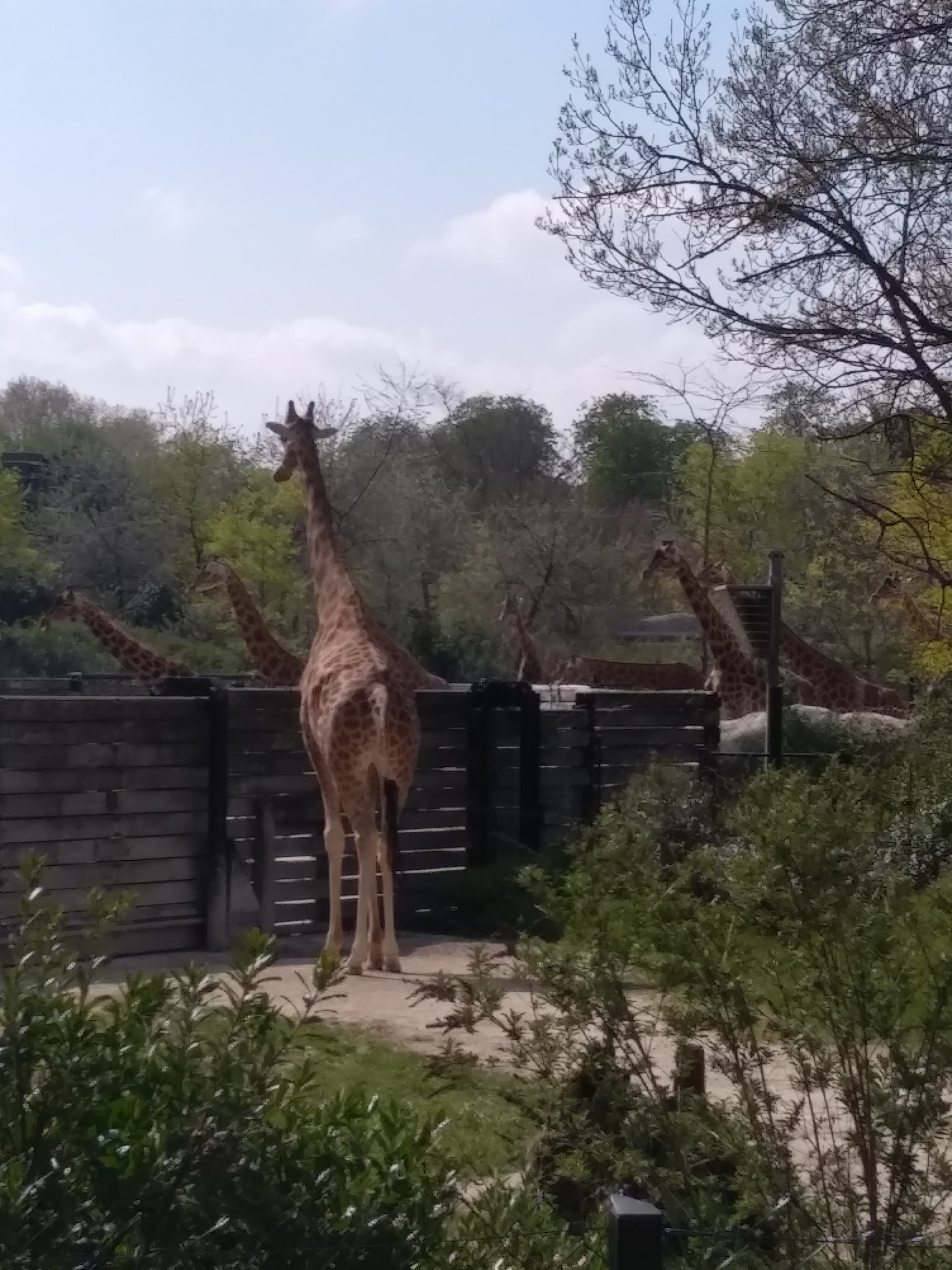 Photo n° 2 de l'avis de Emma. fait le 20/04/2019 à 14:59