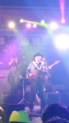 Night Club «Estrellas Del Millenium», reviews and photos, 850 N State St, Elgin, IL 60123, USA