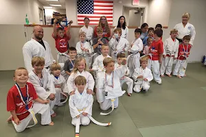 Faust's USA Karate image