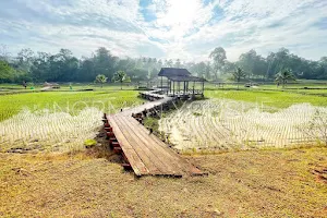 National Botanic Gardens Shah Alam image