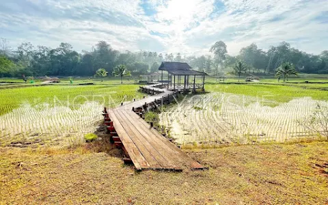 National Botanic Gardens Shah Alam image
