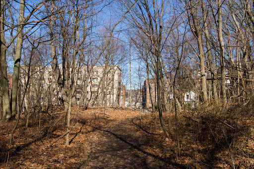 Park «Van Cortlandt Park», reviews and photos, Broadway and Vancortlandt Park S, Bronx, NY 10462, USA