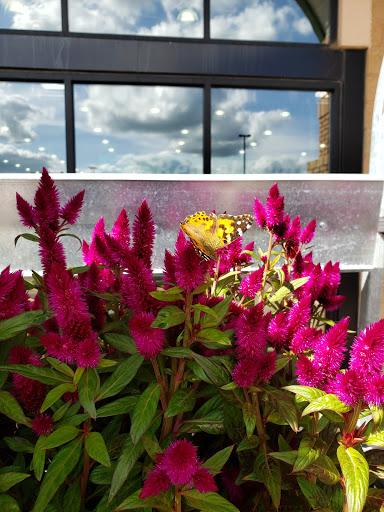 Home Improvement Store «Menards», reviews and photos, 2200 Westridge Rd, New Ulm, MN 56073, USA