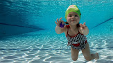 Best Swimming Courses For Babies In Seattle Near You