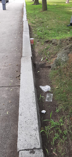 Park «Campagnone Common», reviews and photos, 200 Common St, Lawrence, MA 01840, USA