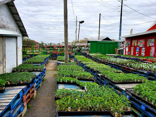 Produce Market «Puglias Produce», reviews and photos, 381 Fries Mill Rd, Sewell, NJ 08080, USA