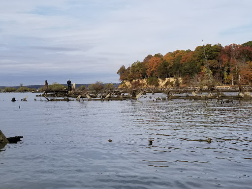 Tourist Attraction «Mallows Bay», reviews and photos, 1440 Wilson Landing Rd, Nanjemoy, MD 20662, USA