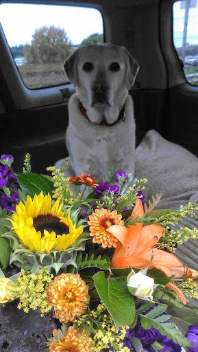 Florist «Thistle Floral & Home», reviews and photos, 25960 Central Ave NE, Kingston, WA 98346, USA